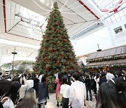 [포토] ‘더현대’ 높이 13m 대형 크리스마스 트리