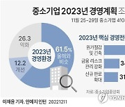 [그래픽] 중소기업 2023년 경영계획 조사 결과