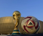 [월드컵] 4강전부터 공인구 바뀐다...'알 힐름' 뜻은?