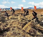 북한 "단합된 힘으로 하나하나 실속 있게"… 농사 차비 강조
