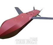 '한국형 타우러스' 공대지 미사일 2028년까지 개발...KF21 탑재