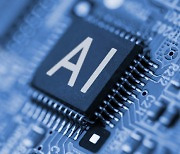800 billion won of Korean taxpayer money going into AI chips
