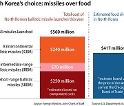 North Korea spends money it needs for food on missiles