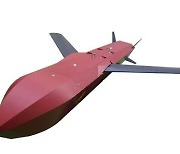 KF-21 무장용 ‘한국형 타우러스’ 개발 착수