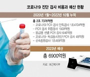 '동시 진단'시약으로 둔갑한 '코로나·독감 묶음세트'