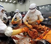 충북산 '못난이 김치' 음식점서도 맛 본다