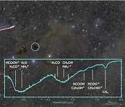 서울대 참여 국제 연구팀, '인류 최대 망원경'으로 태아별 생명 기원 물질 발견