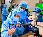첨단기술 제품 개발 연구하는 북한 국가과학원