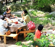 국립공원에서 요가·브런치·별빛 감상…치유과정 참가자 모집