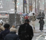 '평창 5.8㎝' 강원 내륙‧산간 많은 눈…밤까지 최대 10㎝ 예상