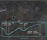 웹 망원경, 태아별에서 '생명의 기원' 찾았다