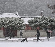 서울 최대 5cm 눈에 영하 10도 강추위..진짜 겨울 시작된다