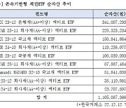 3주만에 1조원 몰렸다…코덱스 채권 ETF '인기'