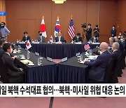 한미일 북핵 협의···"'北 비핵화' 목표 확고부동"