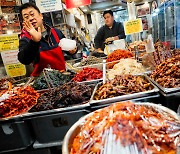 “비싼 홍삼 어쩌나” ‘김치’ 놀라운 정체, 아무도 몰랐다