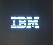 IBM, 日 라피더스와 2나노 반도체 개발…2027년 생산