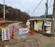 진주 오리농장서 조류인플루엔자 의심축...고병원성 여부 검사