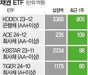 만기 있는 채권 ETF에 1조 몰렸다