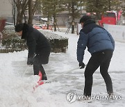 강원 곳곳 5㎝ 안팎 눈 쌓여…밤까지 최대 10㎝ 이상 '펑펑'