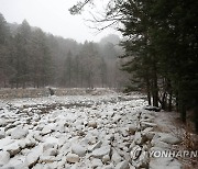 흰 눈으로 뒤덮인 월정사 입구