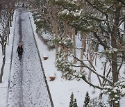 내일 중부지방 많은 눈…수도권 3~8cm, 경기동부·강원 10cm 이상 눈