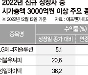 IPO 시장 불황 이유 있었네