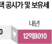 17억 단독주택 보유세 372만원→312만원