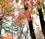 [포토친구] 첫눈 내린 날