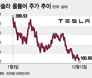 "테슬라는 애플이 아니다"…테슬람 희망 꺾는 WSJ의 분석[오미주]