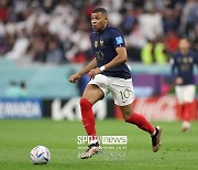 [월드컵] BBC 문어의 예측 "프랑스, 모로코 2-1 꺾고 결승진출"