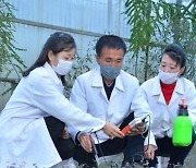 북한 산림연구원의 연구사들