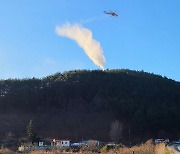 삼척시, 동해안 산불 피해지 2025년까지 복구