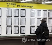 11월 취업자 62만6천명 증가, 반년째 증가폭 둔화