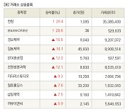 [fnRASSI]장마감, 거래소 상승 종목(한창 29.4% ↑)