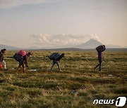 볼리비아-칠레로 넘어가는 불법 이민자들…AFP 선정 2022 올해의 사진