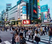 '왕복 80만원'된 日항공권…내년 벚꽃필 때나 정상화