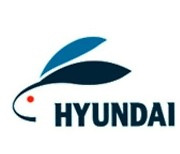 Hyundai Pharm withdraws application for abortion pill approval