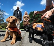 AUSTRALIA ANIMALS GUIDE DOGS GRADUATION