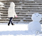 [날씨] 최강한파 속 제주도·서해안 폭설…서울 아침 -8도