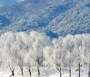 충청 대설주의보…중대본 1단계 가동