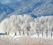 인천·충청·전라권 대설주의보…중대본 1단계 가동