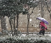 우산에 쌓이는 눈