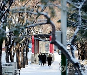 폭설·강풍에 곳곳 하늘·바닷길 막혀…빙판길 사고도 이어져(종합)