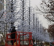 연말 장식하는 '서울 빛초롱' 올해는 광화문 광장서 열린다