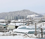 한파에 폭설까지···경기 평택 '대설주의보'