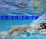 '2연패 도전' 황선우, 세계선수권 쇼트코스 자유형 200ｍ 결승 진출