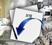 내년 자동차 보험료 최대 2%대 인하·실손은 9%대 상승