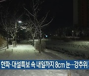 대전·세종·충남 한파·대설특보 속 내일까지 8cm 눈…강추위 계속