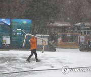 한라산에 31.6㎝ '눈폭탄'…항공·선박 결항 잇따라