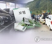 車보험료 내린대서 좋아했더니…실손은 9%대 오를 듯